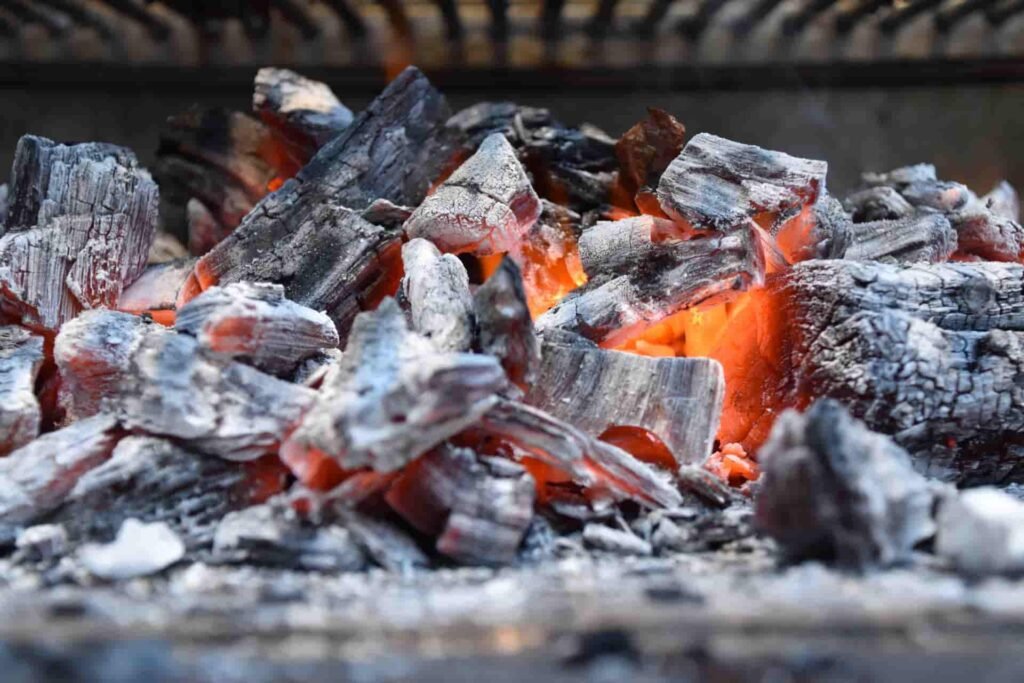 Tipos de Parrillas 2 Tipos de Parrilla a Carbon imagen 1